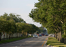 Sarasota