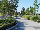 Lake Nona
