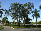 Nova Southeast University Lower School and Central Plant Project