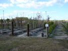 Palm Coast Educational Tree Nursery wins an award.