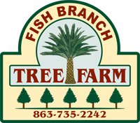 Fish Branch Tree Farm