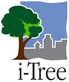 i-Tree