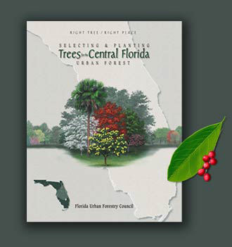 Cover image of the Right Tree Right Place poster