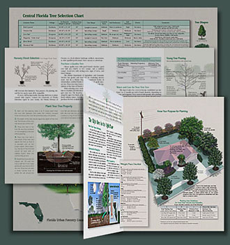 Image of the poster being unfolded