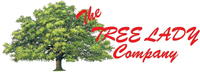 The Tree Lady